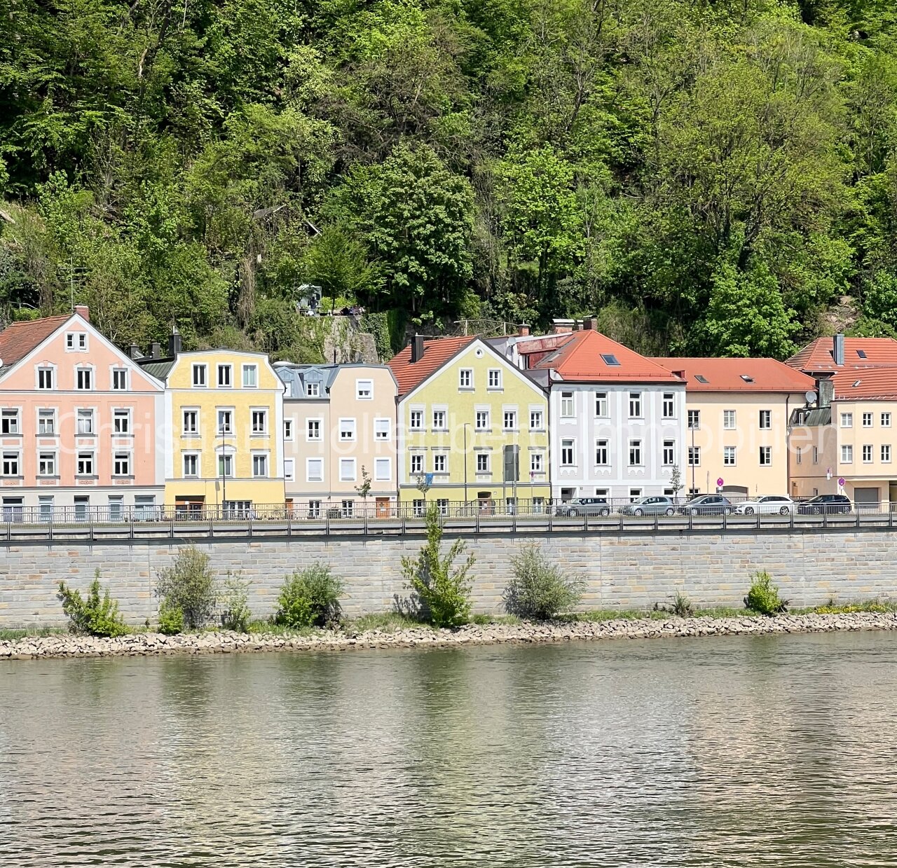 Häuserreihe Donau