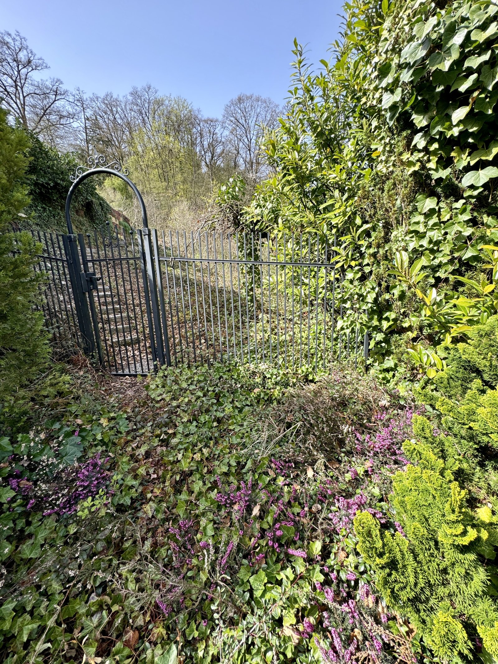 Garten, Aufgang Westen