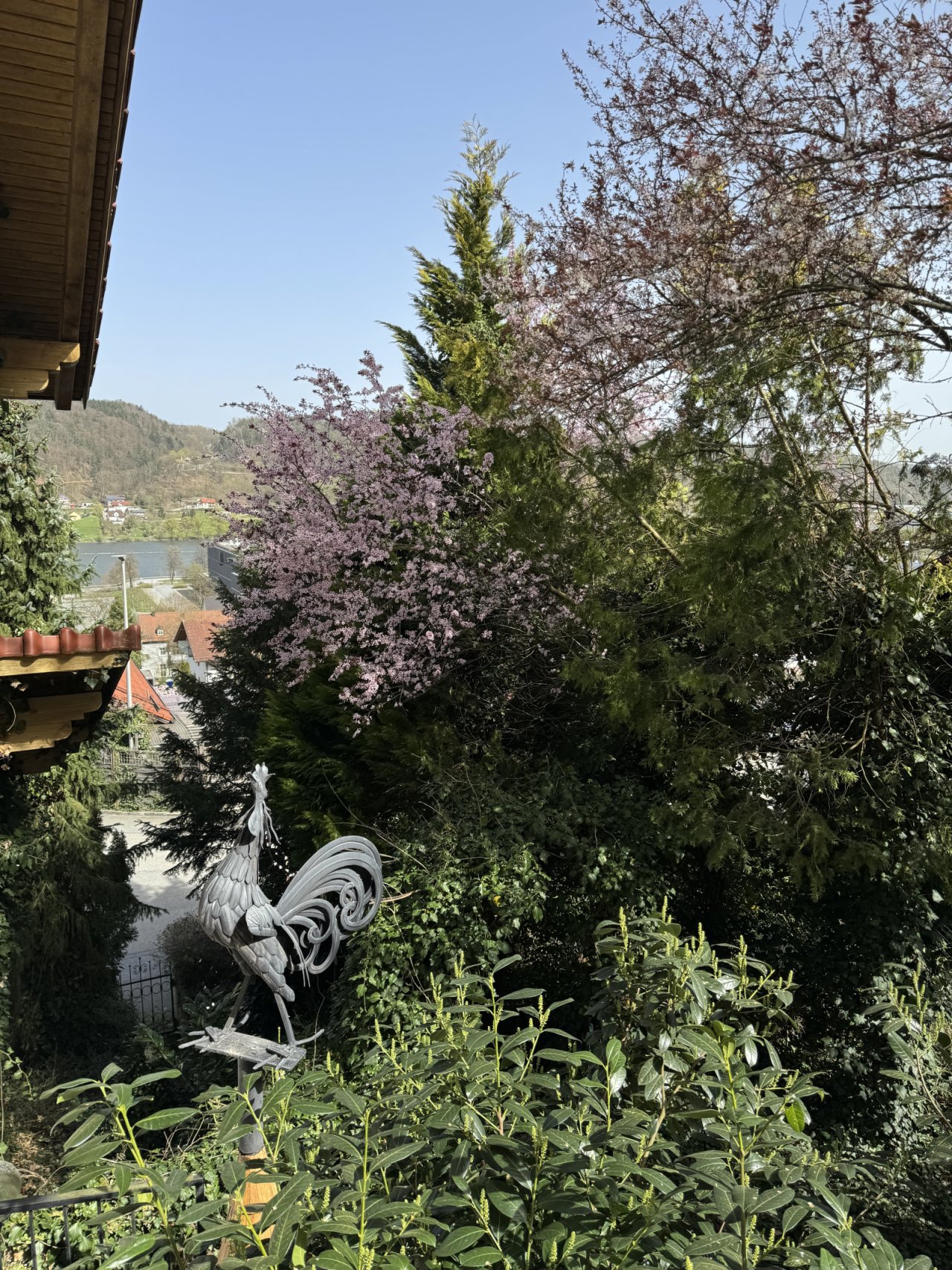 Garten, Osten Garten, Osten
