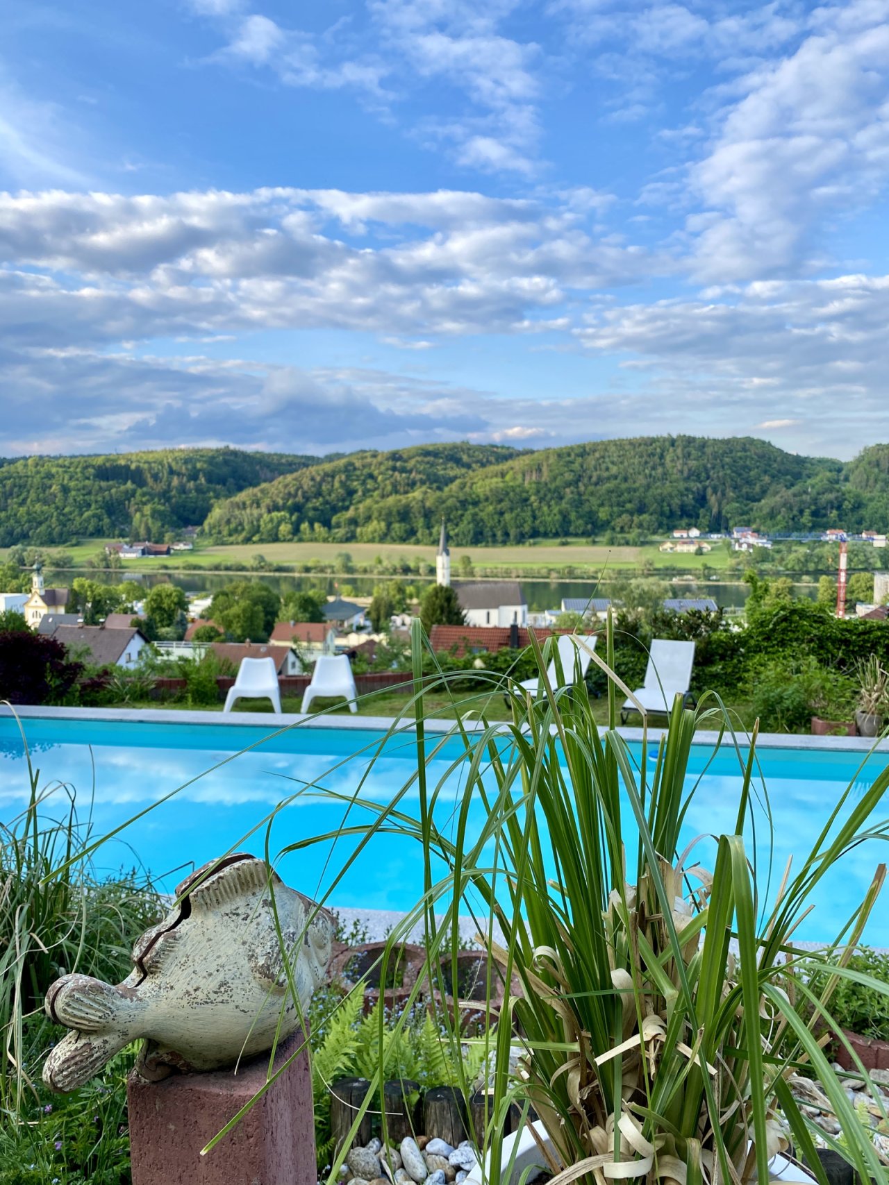 Pool Fisch Pool Fisch